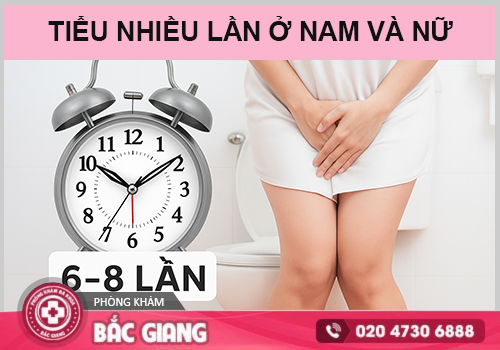 Khổ vì đi tiểu liên tục? Xem ngay 6 bệnh lý phổ biến gây tiểu nhiều
