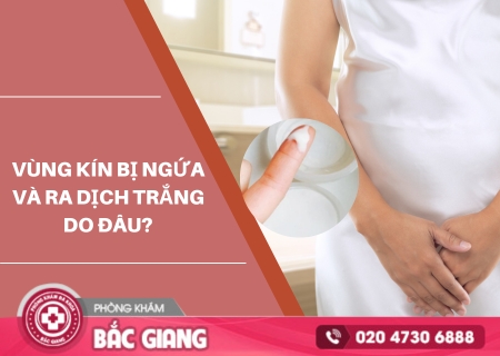 Lý giải nguyên nhân vùng kín bị ngứa và có dịch trắng